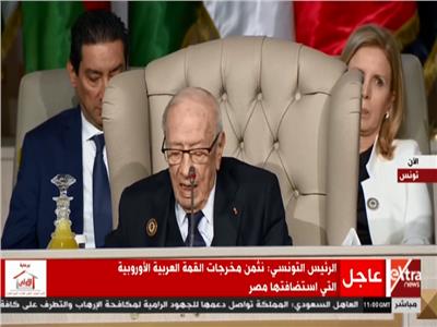 فيديو| الرئيس التونسي: من غير المقبول إدارة قضايانا خارج أطر العمل العربي