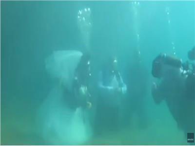 شاهد| حفل زفاف تحت الماء بإستراليا