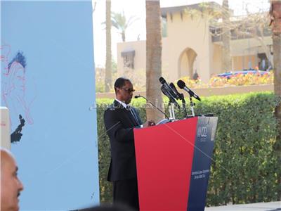 موسى أومارو: مصر تلعب دورًا مهمًا في العالم العربي وأفريقيا والعالم