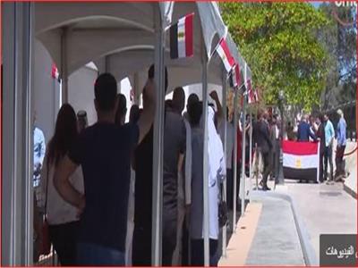 فيديو| السفارات والقنصليات تستعد لاستقبال الناخبين في الاستفتاء على التعديلات الدستورية