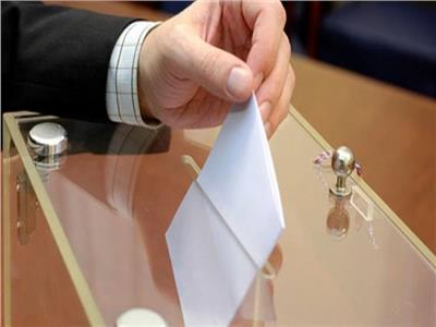 بدء تصويت المصريين باليابان وكوريا الجنوبية في الاستفتاء على التعديلات الدستورية