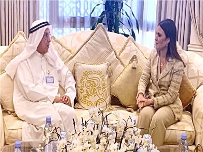وزيرة الاستثمار تناقش مع الصندوق العربي استكمال مشروع مياه مصرف بحر البقر