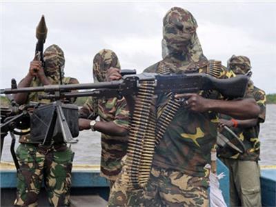 بوكو حرام تهاجم مدينة جوشي باقصى شمال الكاميرون