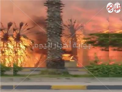 فيديو| مشاهد «مفزعة» لحريق حديقة بشارع الهرم