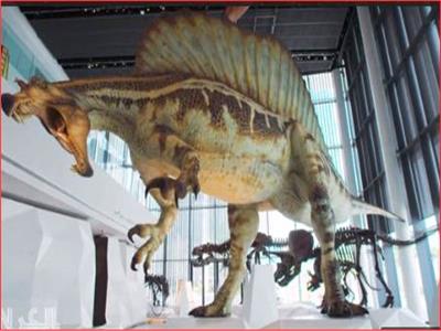 شاهد| أكبر قاعة عرض ديناصورات في العالم بالكويت