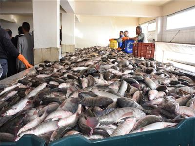 الزراعة: مصر الأولى أفريقيا والثامنة عالميا في إنتاج الأسماك