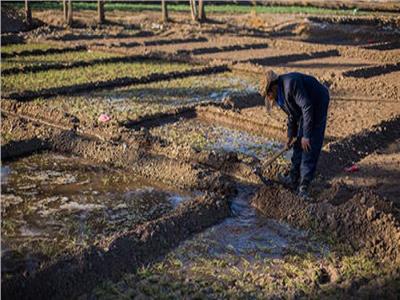 «الطرق البديلة» الحل الأمثل لمواجهة ندرة المياه والحفاظ على الرقعة الزراعية