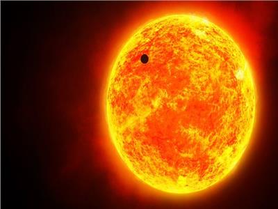 ناسا ترسل كائنات حية إلى مدار الشمس.. لأول مرة
