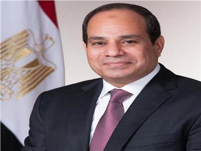 كيف نجحت مصر في مكافحة «الجريمة الجديدة» ؟