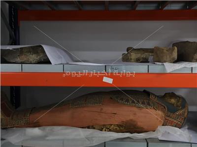 عرض «أقدم هيكل عظمي لشاب مصري» ضمن مقتنيات متحف الحضارة
