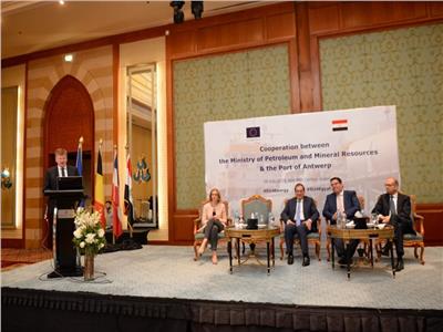 الاتحاد الأوروبي: إطلاق جولة جديدة من حوار الطاقة مع مصر