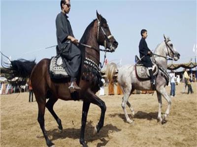 انطلاق مهرجان الخيول العربية بالشرقية سبتمبر القادم