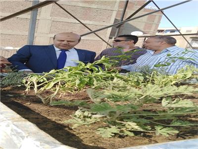 «رئيس الحي» يكشف تفاصيل مبادرة زراعة أسطح منازل باب الشعرية