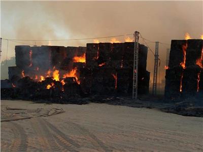 الوادي الجديد: حصر الخسائر المادية جراء حريق شرق العوينات