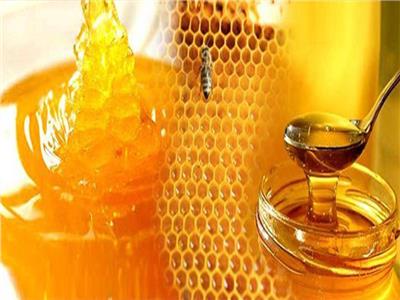 إطلاق أول مهرجان لعسل النحل المصري.. 16 أكتوبر المقبل