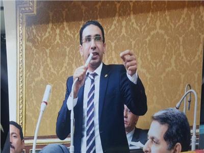 برلماني: مشاركة السيسي بقمة السبع يؤكد على قوة الاقتصاد المصري 