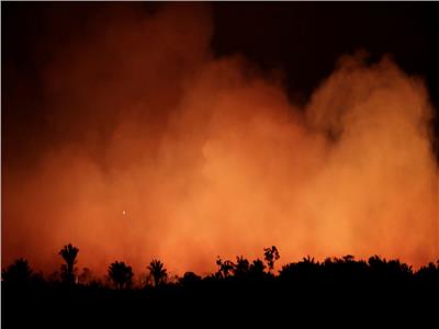 فيديو| هل تتأثر مصر بحرائق غابات الأمازون؟.. خبير بيئي يجيب