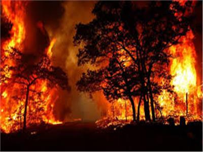 فرار مئات السكان جراء اشتعال 140 حريق غابات في أستراليا