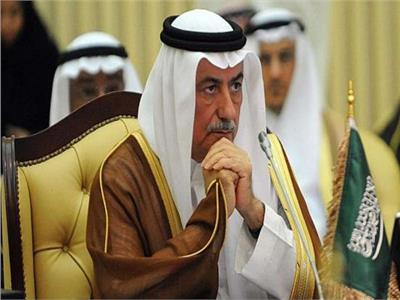وزير الخارجية السعودي: قضيتنا الأولى «فلسطين».. وهدفنا سلامة الأراضي العربية