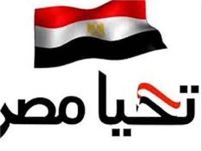 فيديو| في مبادرة «رد الجميل».. قطاع البناء يتبرع لصندوق «تحيا مصر»
