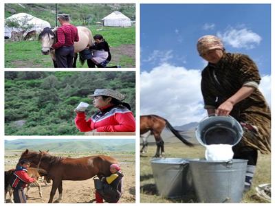 بعد إجازتها من «البحوث الإسلامية»| كازاخستان توضح منافع لحم وحليب الخيل «القمز»