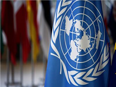 رئيس الجمعية المصرية للأمم المتحدة يدعو لضرورة إصلاح مجلس الأمن وتعديل الميثاق الأممي