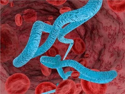 الكونغو الديمقراطية: حالات الإصابة بفيروس «الإيبولا» تتخطي حاجز 3000 شخص