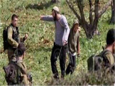 الاحتلال الإسرائيلي يطرد قاطفي الزيتون من أراضيهم بجنوب نابلس