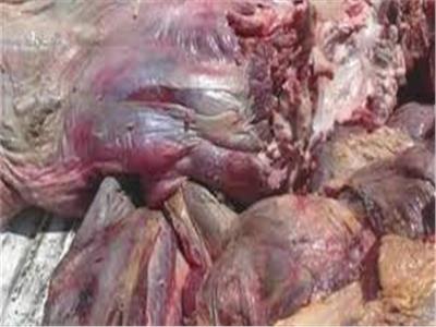ضبط 5 أطنان أحشاء حيوانات فاسدة في معمل لتصنيع اللحوم بالإسكندرية