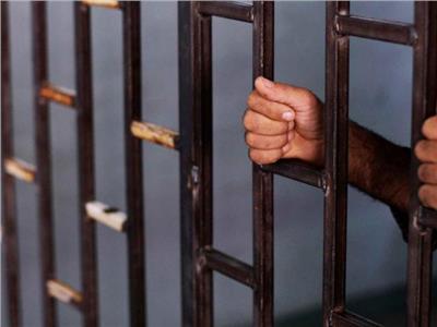 السجن المشدد 5 سنوات لـ«أباظة» مزور العملات