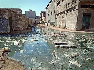 صور| مياه الصرف والقمامة تُعيق وصول الطلبة لمدرسة في الإسكندرية