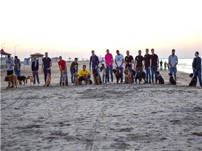 صور| «كلاب دمياط» يحتفلون بالهالوين على البحر