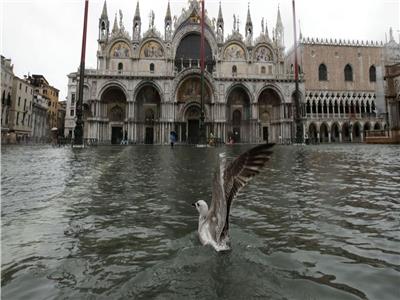 صور وفيديو| فيضانات كارثية تجتاح البندقية الإيطالية.. ورئيس المدينة يلوم تغير المناخ
