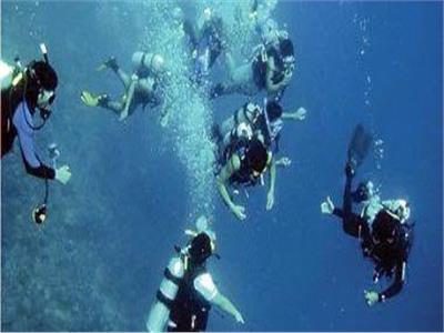 «غرفة الغوص» تعلن عن دورة للتوعية البيئية في البحر الأحمر