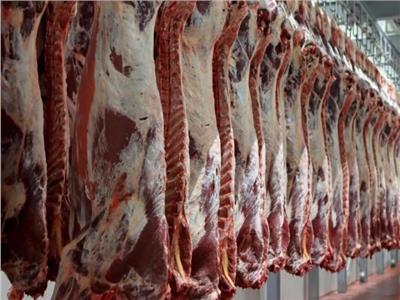 فيديو| «الزراعة» تعلن ارتفاع أسعار اللحوم خلال الفترة المقبلة