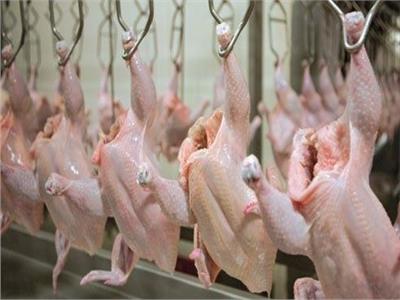 «الزراعة»: ذبح 7.5 مليون طائر داخل المجازر خلال شهر نوفمبر