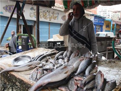 شاهد| تجار سوق السمك بالإسماعيلية: الانتقال للمكان الجديد «مكلف»