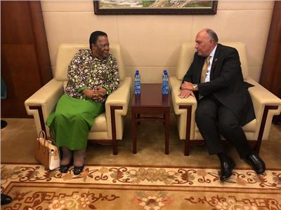 سامح شكري يعقد لقاءً مع وزيرة خارجية جنوب أفريقيا