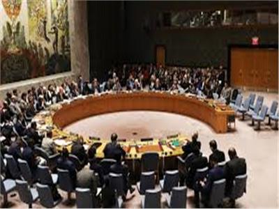 الخارجية الفلسطينية ترحب بإجماع مجلس الأمن على مقترح بلجيكي يدعم حل الدولتين