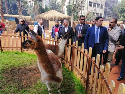تفاصيل| «الزراعة»: اتفاق مصري- فرنسي لترميم كوبري إيفل المعلق بحديقة الحيوان