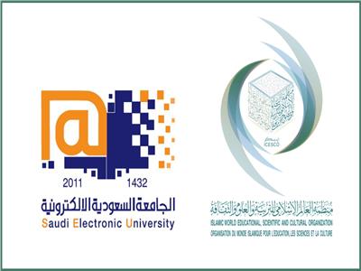 الجامعة السعودية الإلكترونية تتيح برنامجها لتعليم العربية على الإنترنت