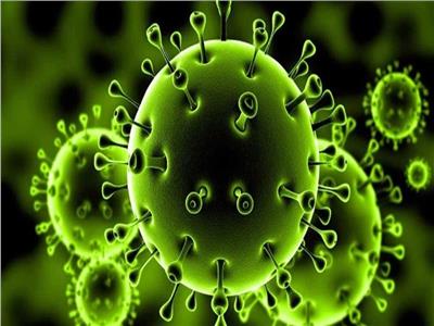  مفاجأة .. «كورونا» 7 فيروسات وسريع الانتشار عبر الهواء .. فيديو 