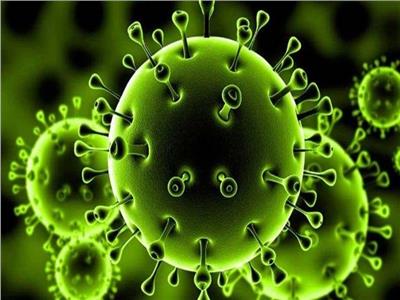 فيديو.. «القرار في أيدك» للحماية من فيروس كورونا