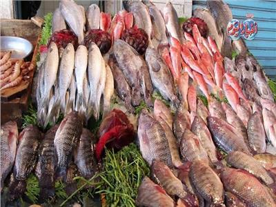 أسعار الأسماك في سوق العبور في ثامن أيام شهر رمضان
