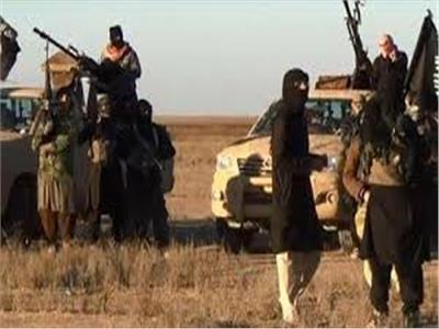 "داعش " يقدم على إضرام النار في مساحات شاسعة من الأراضي الزراعية في "ديالي"