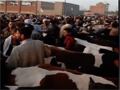 فيديو| كارثة.. المئات يتجمعون بسوق ببنها.. وتاجر: "مفيش كورونا"