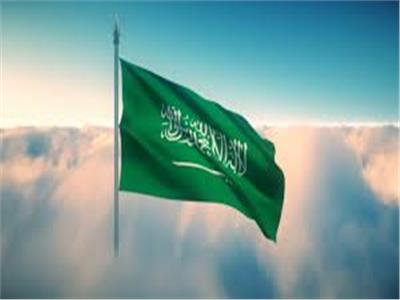 السعودية تؤكد وقوفها مع باكستان في حادث سقوط طائرة بكراتشي