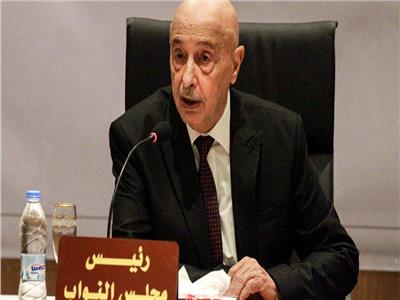 رئيس «النواب الليبي» يطالب 3 منظمات دولية بتحمل مسؤولية العدوان التركي على ليبيا