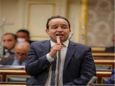فيديو| برلماني يوجه رسالة لجيش مصر الأبيض