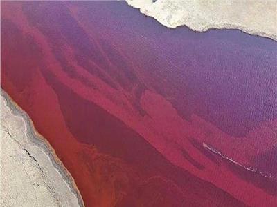 «بوتين» يعلن حالة الطوارئ بسبب النهر الأحمر